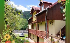 Willa pod Aniołem # apartament z widokowym tarasem